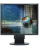 Get NEC LCD1770NX-BK-2 - MultiSync - 17inch LCD Monitor reviews and ratings