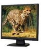 Get NEC LCD17V-BK - MultiSync - 17inch LCD Monitor reviews and ratings