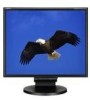 Get NEC LCD195NXM-BK - MultiSync - 19inch LCD Monitor reviews and ratings