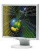 Reviews and ratings for NEC LCD1970NX - MultiSync - 19 Inch LCD Monitor