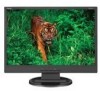 Get NEC LCD19WV - 19inch LCD Monitor reviews and ratings