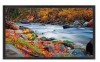 Get NEC LCD8205-P - MultiSync - 82inch LCD Flat Panel Display reviews and ratings