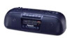 Panasonic RC-X260 New Review
