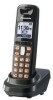 Get Panasonic TD45208983 - EXTRA HS FOR DECT 64XX WHT LC reviews and ratings