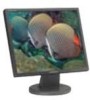 Get Samsung 940BF - SyncMaster - 19inch LCD Monitor reviews and ratings