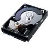 Get Samsung HE502IJ - SpinPoint F1 RAID Class 500 GB Hard Drive reviews and ratings