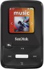 SanDisk SDMX22-004G-A57K New Review