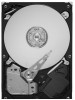 Seagate ST1000DL002 New Review