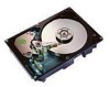 Get Seagate ST19171W - Barracuda 9.1 GB Hard Drive reviews and ratings