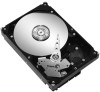 Get Seagate ST250DM000 reviews and ratings