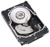 Get Seagate ST3146855LW reviews and ratings