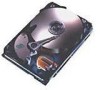 Get Seagate ST330610A - U6 30 GB Hard Drive reviews and ratings