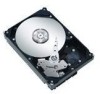 Seagate ST3402111AS New Review