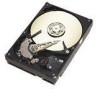 Seagate ST380013AS New Review