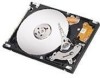 Get Seagate ST910021AS - Momentus 7200.1 100 GB Hard Drive reviews and ratings