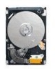Get Seagate ST9160310AS - Momentus 5400.5 160 GB Hard Drive reviews and ratings