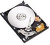 Get Seagate ST9402116AB - Momentus 5400.3 Blade Server 40 GB Hard Drive reviews and ratings