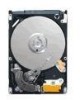 Get Seagate ST980310AS - Momentus 5400.5 80 GB Hard Drive reviews and ratings