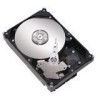 Get Seagate STM3160215AS - Maxtor DiamondMax 160 GB Hard Drive reviews and ratings