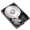 Get Seagate STM3320820A - Maxtor DiamondMax 320 GB Hard Drive reviews and ratings