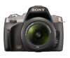 Get Sony A380L - Alpha 14.2 MP Digital SLR Camera reviews and ratings