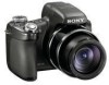 Get Sony DSC-HX1 - Cyber-shot Digital Camera reviews and ratings