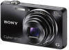 Get Sony DSC-WX100 reviews and ratings