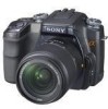 Sony DSLR A100 New Review