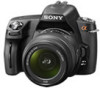 Get Sony DSLR-A290L - alpha; Digital Single Lens Reflex Camera Zoom reviews and ratings