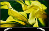 Get Sony KD-75X780F reviews and ratings