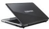 Get Toshiba L510 ST3405 - Satellite - Core 2 Duo 2.2 GHz reviews and ratings