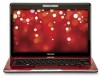 Toshiba T135-S1310RD New Review
