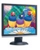Get ViewSonic VA916 - 19inch LCD Monitor reviews and ratings