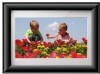 Get ViewSonic VFA710W-10 - Digital Photo Frame reviews and ratings