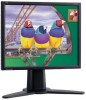 Get ViewSonic VP181B - LCD Display - TFT reviews and ratings
