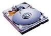 Get Western Digital AC313000 - Caviar 13 GB Hard Drive reviews and ratings