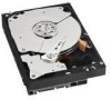 Get Western Digital WD1002FBYS - RE3 1 TB Hard Drive reviews and ratings