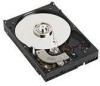 Get Western Digital WD1600YD - RE 160 GB Hard Drive reviews and ratings