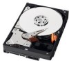 Get Western Digital WD5000ABPS - RE2-GP - Hard Drive reviews and ratings