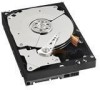 Get Western Digital WD7502ABYS - RE3 750 GB Hard Drive reviews and ratings